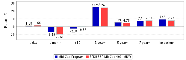 Mid-cap-return