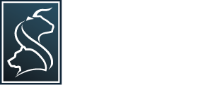 Super Stock Screener